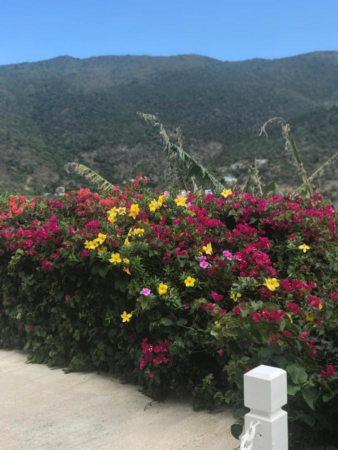 Ocean View Villas ヨスト・ヴァン・ダイク島 エクステリア 写真
